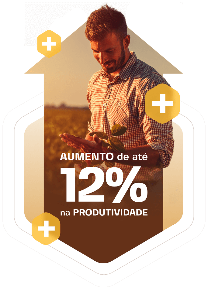 Aumento de produtividade de 12%